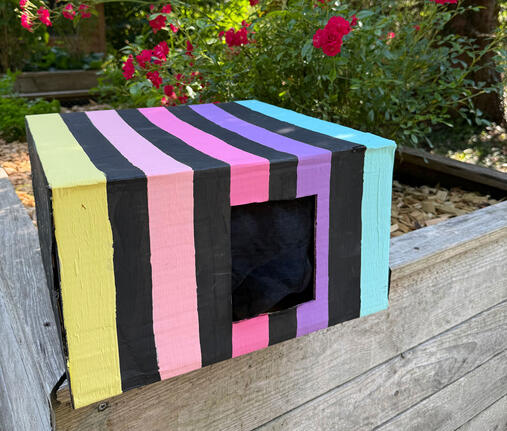 Baustelle Blumenwiese