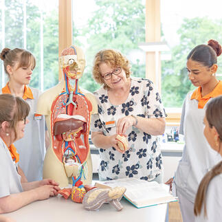 Arbeiten & Ausbilden