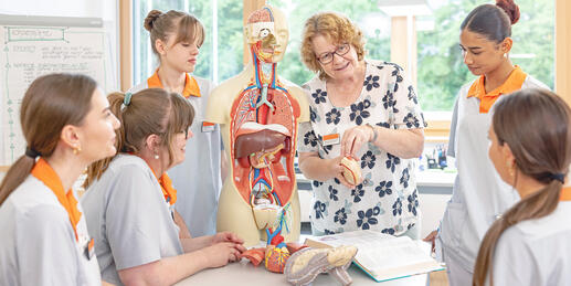 Studium, Ausbildung und Praktikum