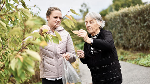 Spenden, Testamente und Legate